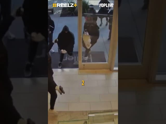 25 Suspects Smash-and-Grab a California Jewelry Store