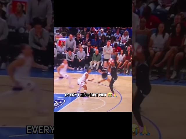 u mean nothin but aiir?????  #basketball #wnba #funny #meme #fyp